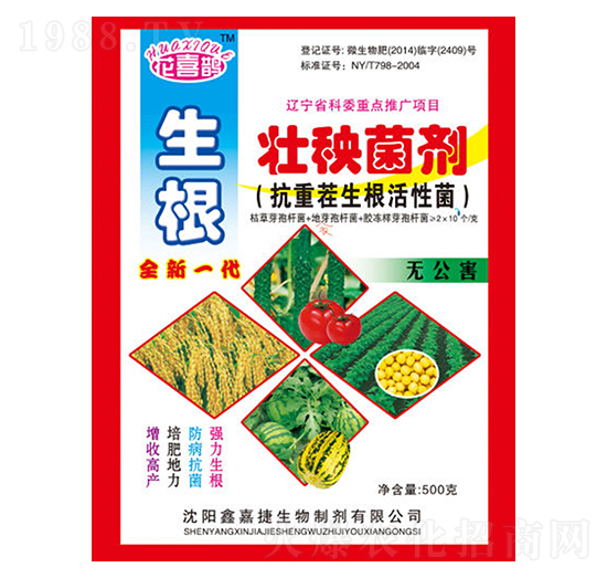 ������������-��ϲ�o-�μν�