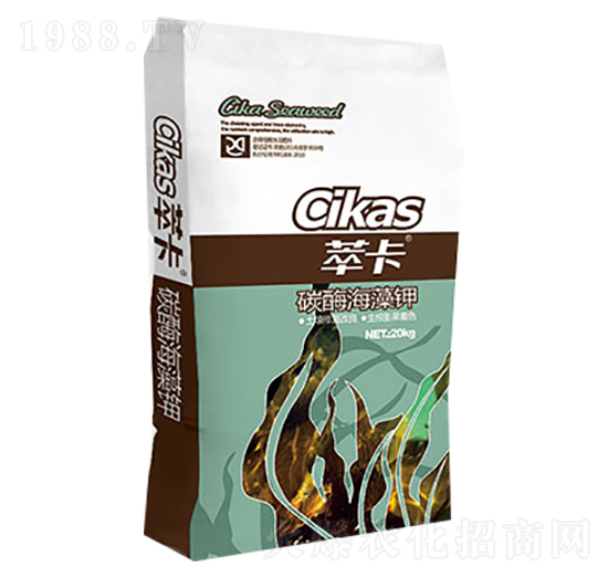 ̼ø�����-�Ϳ�-���S��