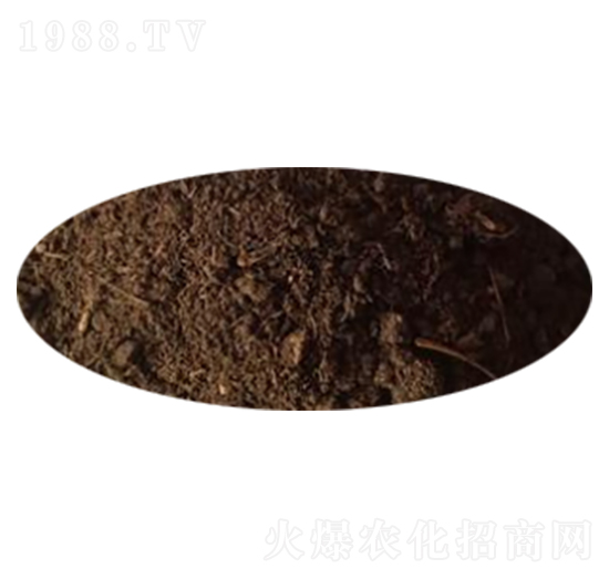 ţ�S-���l(f��)����