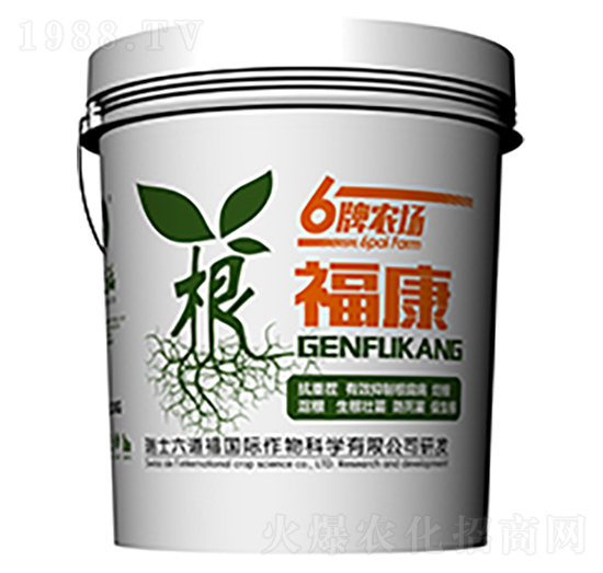 ������-������