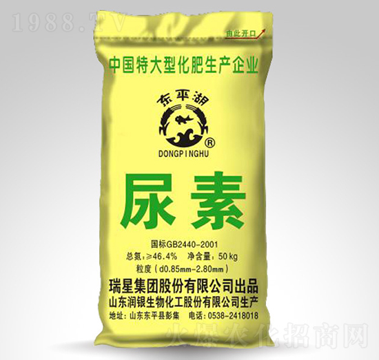 ����-�|ƽ��-����