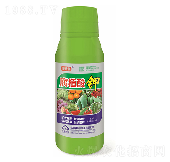 500ml��ֳ���-�G����-�L�S����