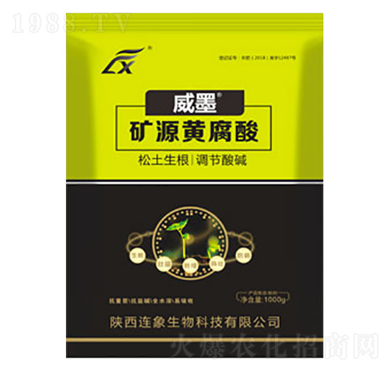 �V��Դ�S����-��ī-�B������