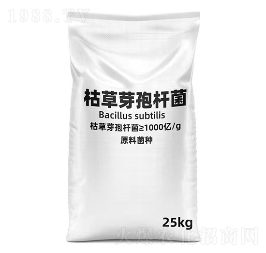 �ݲ�ѿ�ߗU��-�G�ز���