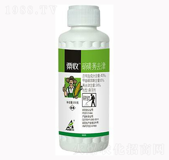 ����ݬȥ��-����-������