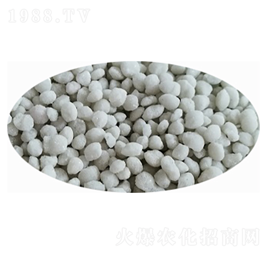 ���@����ɫ���{(l��n)ɫ��-���S�Ƽ�