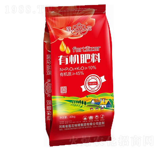 �ЙC(j��)����-���S�ʘI(y��)