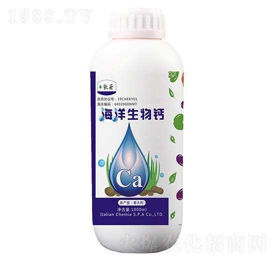 ���������}-����}