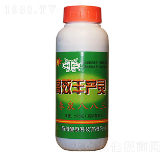 �S�a�`-��Ȫ