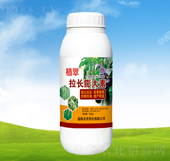 ���L�����-ֲ��-�S�r�r��