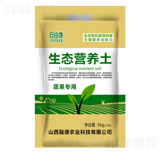 �߹��������B(t��i)�I�B(y��ng)��-���ɵ�-�ڵ��r�I(y��)