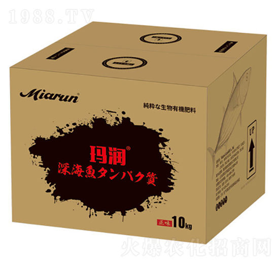 �ձ��M���~����-����-����