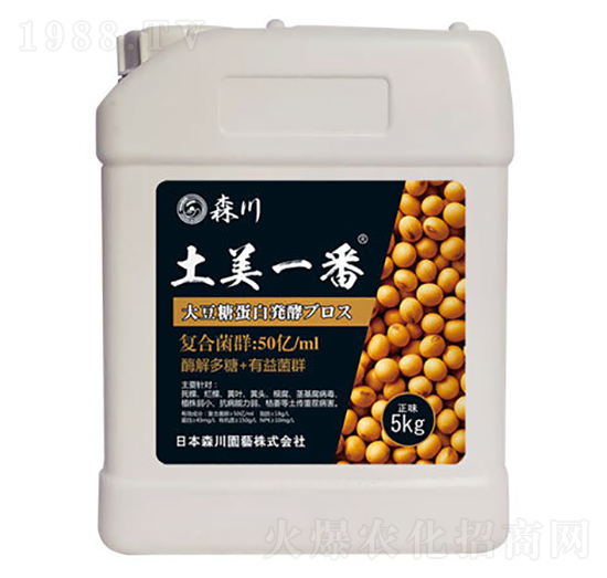 ����һ�������;���-ɭ��-����