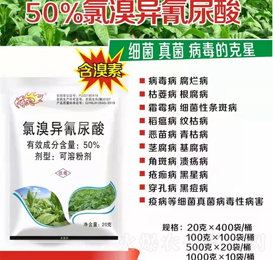 50%���宐������-�����S