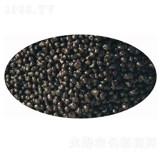 ���{��������-�l(f��)ؔ��