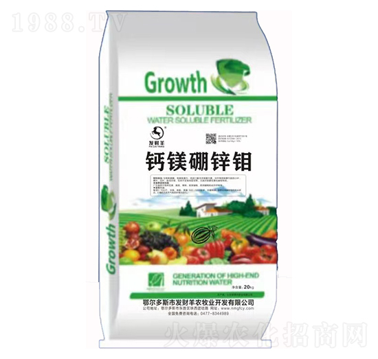 �}�V���\�f-�l(f��)ؔ��