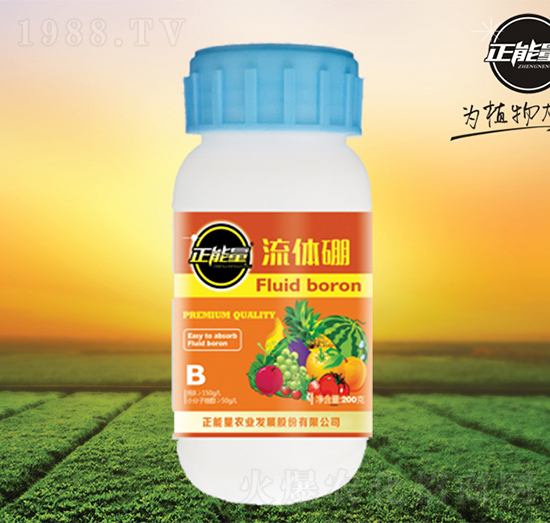 ���w��-������