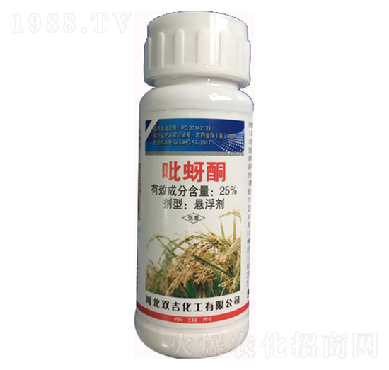 25%����ͪ�Ҹ���-�p������