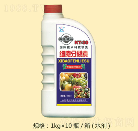 ���徫Ʒ��(x��)��������-�fȪ�r(n��ng)��