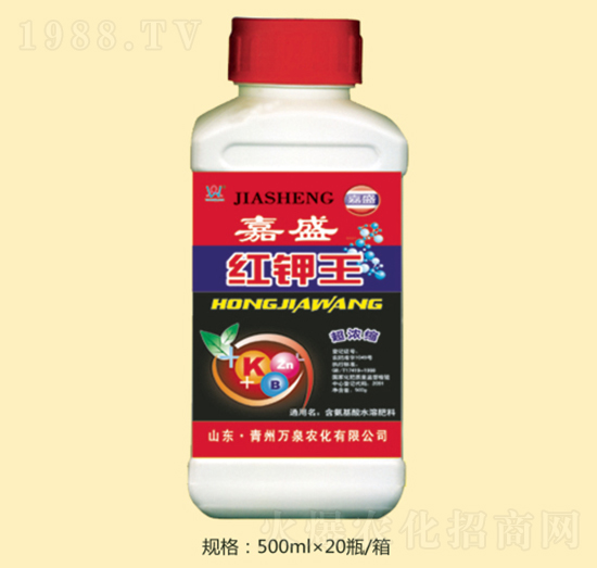 �˼�ʢ�t���-�fȪ�r��