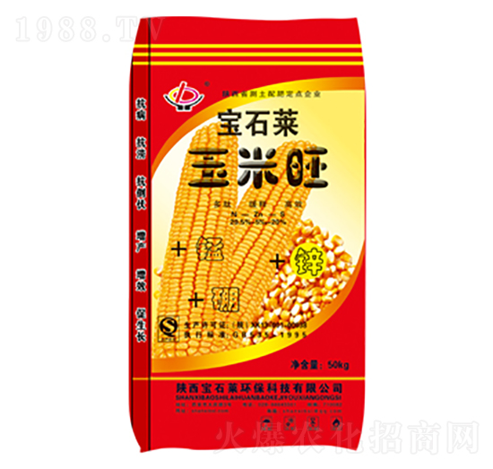 ������-��ʯ�R