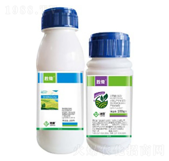 勝鋤-湯普樂(lè)