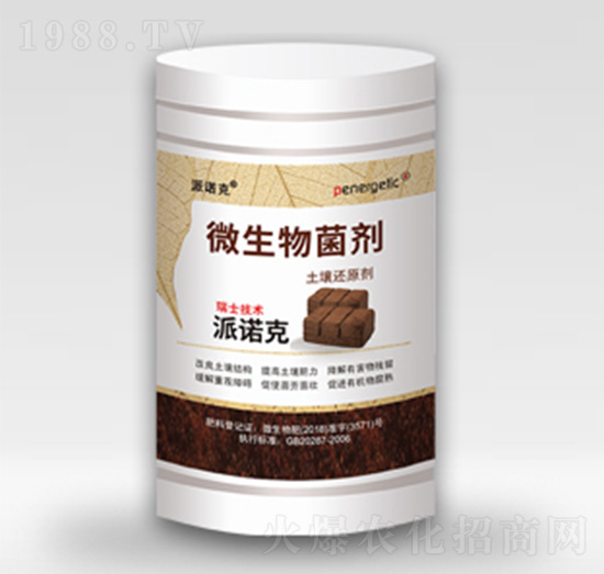 ����߀ԭ��-���Z��