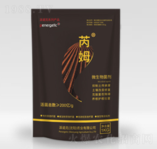 �ͺ�΢�������-��ķ-���Z��