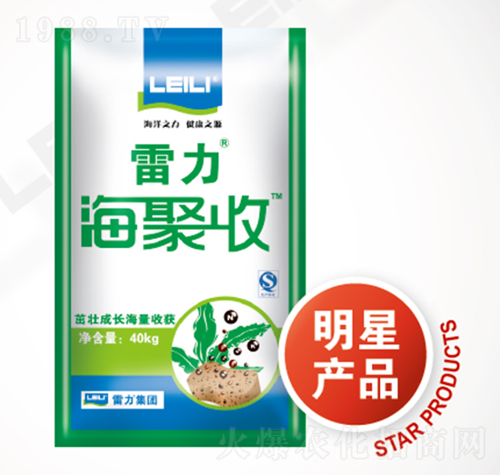 �����(f��)���w����-����������-��������