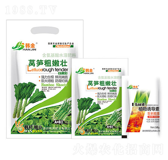 �n�S���ۉ�-�n��-�n��ʘI(y��)