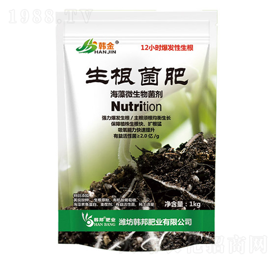 ��������΢�������-�n��-�n��ʘI(y��)