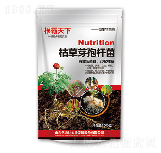 �ݲ�ѿ���U��-��������-�n��ʘI(y��)