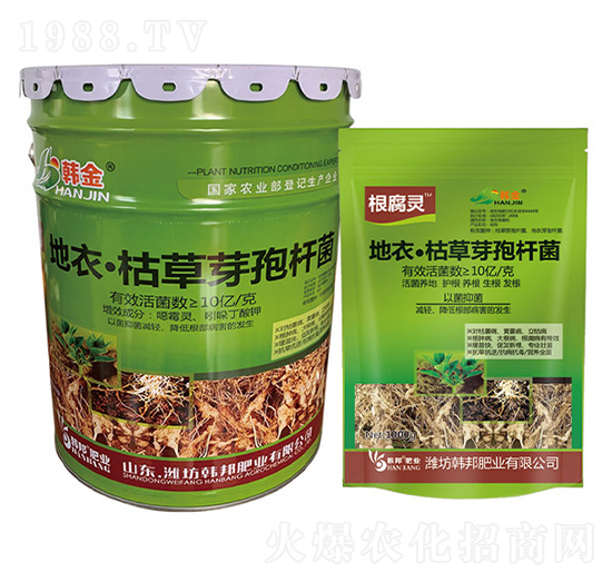 ���¡��ݲ�ѿ�ߗU��-�����`-�n��-�n��ʘI(y��)