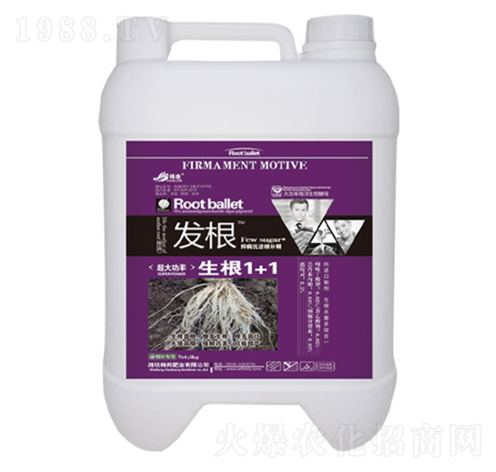 ����ֲ��ˮ�ܷ���-����1+1-�n��-�n��ʘI(y��)