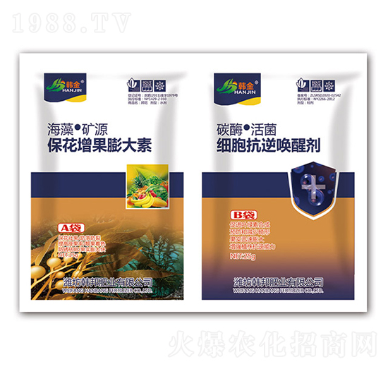 �������������-��(x��)�����憾�ф�-�n��-�n��ʘI(y��)