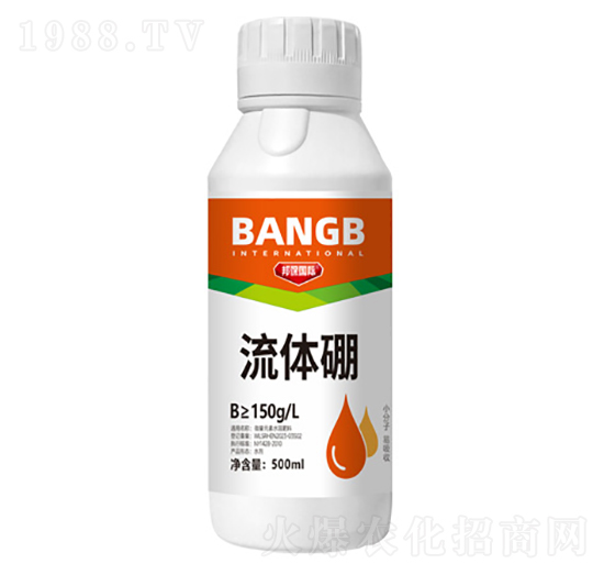 ���w��-����H