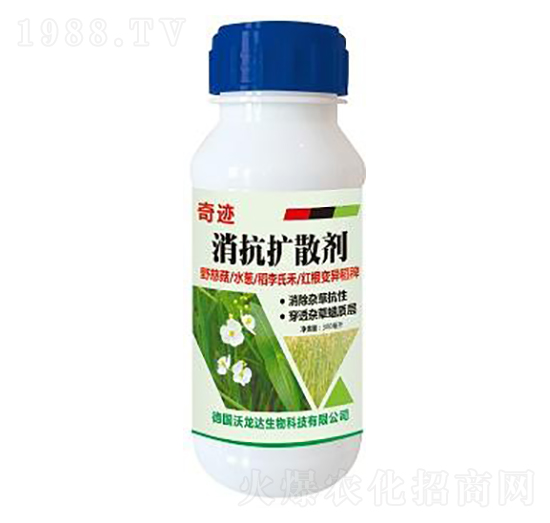 �����Uɢ��-���E-����������