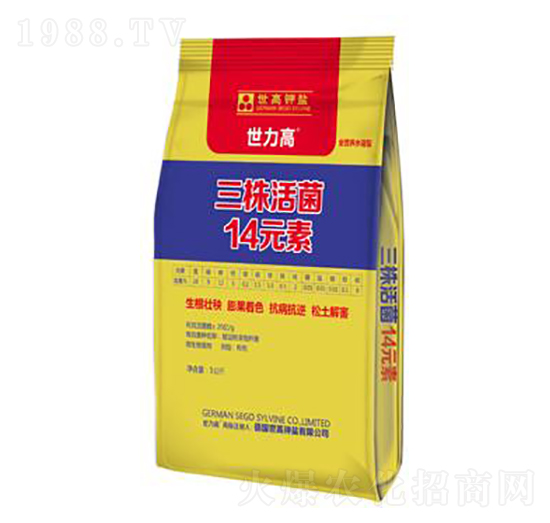 ������14Ԫ��-����������