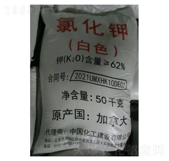 �Ȼ�⛼��ô��ɫ�w��-�ѷ�Ԫ