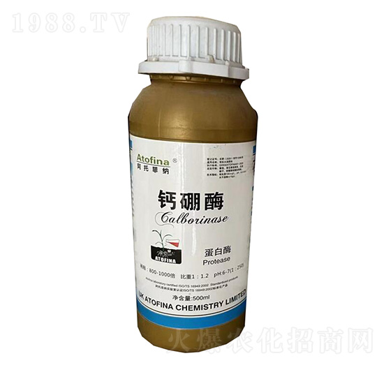 �}��ø-�ѷ�Ԫ