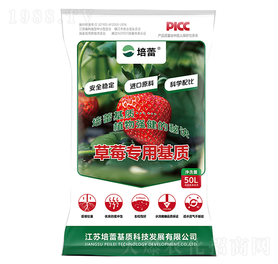 ��ݮ������|(zh��)-����