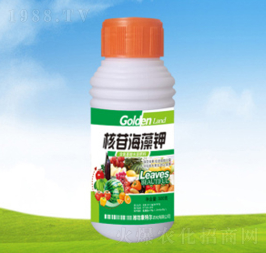 ���պ����-���ؠ��r(n��ng)��