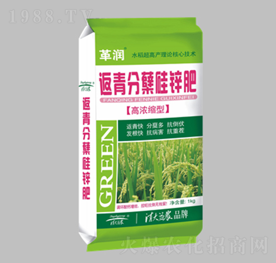 �ߝ�s�ͷ�����Y���\��-�-������r