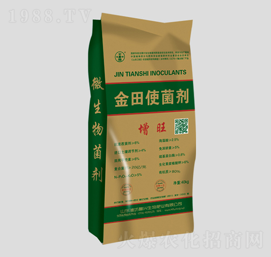 ����ʹ����-����-���d����