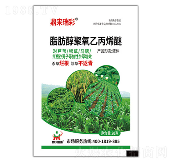 ֬���������ұ�ϩ��-�������-������