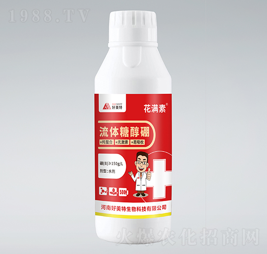 ���w�Ǵ���-���M��-������