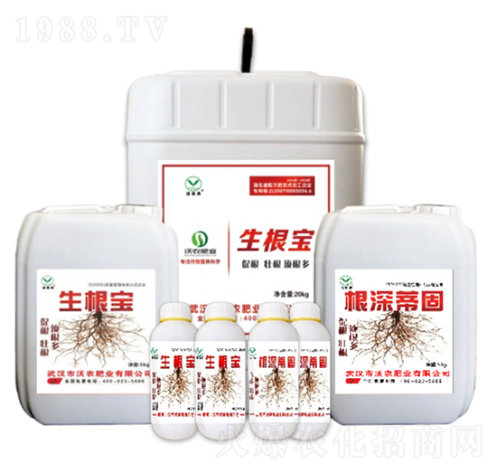 ������+����ٹ�-���r��-���r�ʘI(y��)