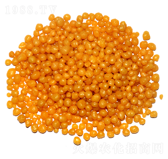 ��֬���¶��@���w����18-46-0-ïʩ����