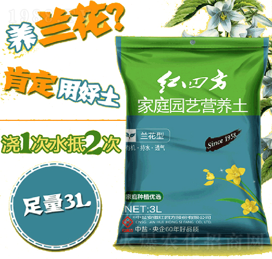 �m���ͼ�ͥ�@ˇ�I�B(y��ng)��-�t�ķ�