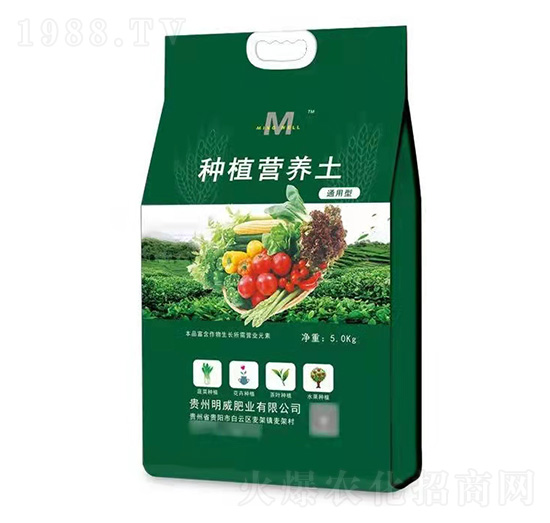 �ЙC�I�B(y��ng)��-�����ʘI(y��)